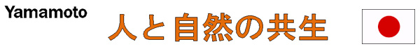 Yamamoto・ウッディー